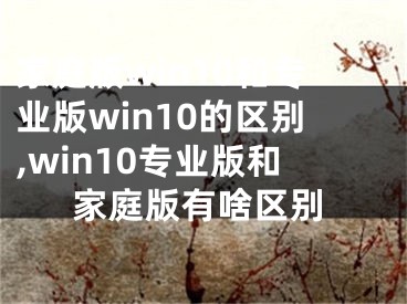 家庭版win10和專業(yè)版win10的區(qū)別,win10專業(yè)版和家庭版有啥區(qū)別