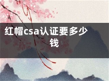 紅帽csa認證要多少錢