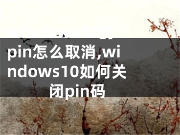 windows10的pin怎么取消,windows10如何關(guān)閉pin碼