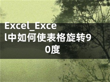 Excel_Excel中如何使表格旋轉90度