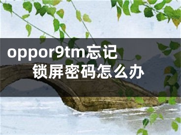 oppor9tm忘記鎖屏密碼怎么辦