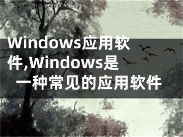 Windows應(yīng)用軟件,Windows是一種常見(jiàn)的應(yīng)用軟件