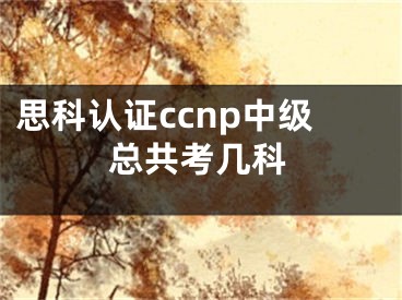 思科認(rèn)證ccnp中級總共考幾科