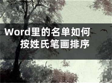 Word里的名單如何按姓氏筆畫排序