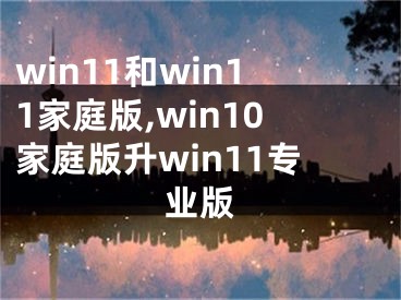 win11和win11家庭版,win10家庭版升win11專業(yè)版