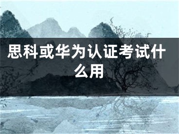 思科或華為認(rèn)證考試什么用