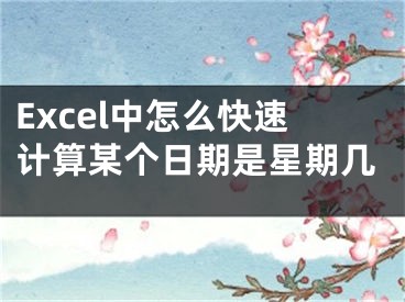 Excel中怎么快速計(jì)算某個(gè)日期是星期幾