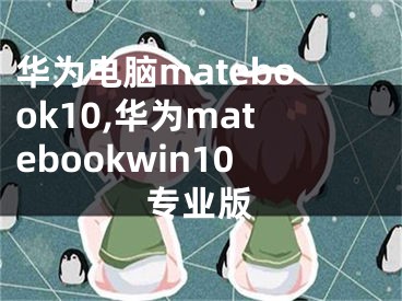 華為電腦matebook10,華為matebookwin10專業(yè)版