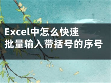 Excel中怎么快速批量輸入帶括號的序號