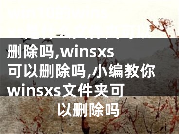 win10的winsxs是什么文件夾可以刪除嗎,winsxs可以刪除嗎,小編教你winsxs文件夾可以刪除嗎