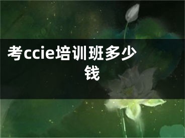 考ccie培訓(xùn)班多少錢