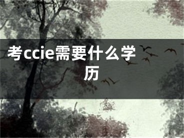 考ccie需要什么學(xué)歷