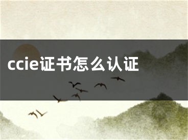 ccie證書(shū)怎么認(rèn)證