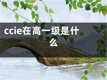 ccie在高一級(jí)是什么