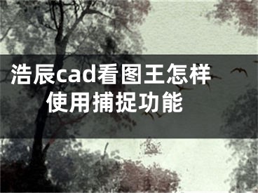 浩辰cad看圖王怎樣使用捕捉功能 