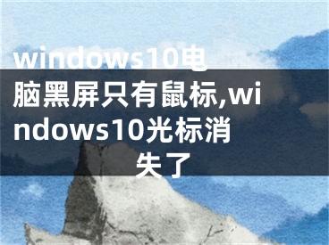 windows10電腦黑屏只有鼠標(biāo),windows10光標(biāo)消失了