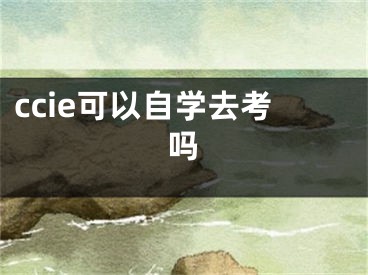 ccie可以自學(xué)去考嗎