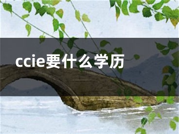 ccie要什么學(xué)歷