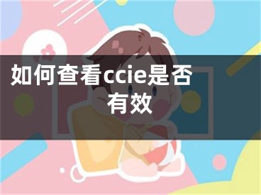 如何查看ccie是否有效