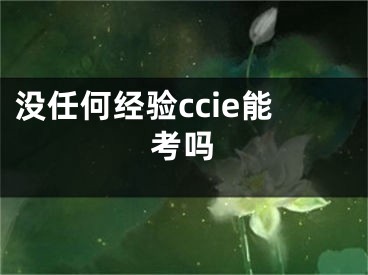 沒任何經(jīng)驗(yàn)ccie能考嗎