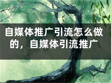 自媒體推廣引流怎么做的，自媒體引流推廣