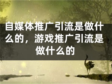 自媒體推廣引流是做什么的，游戲推廣引流是做什么的