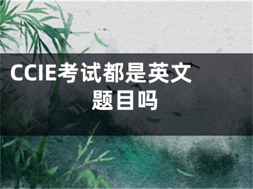 CCIE考試都是英文題目嗎