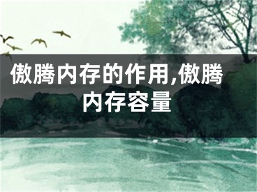 傲騰內(nèi)存的作用,傲騰內(nèi)存容量