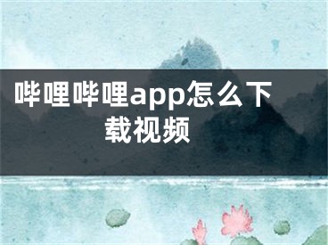 嗶哩嗶哩app怎么下載視頻 