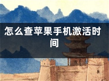 怎么查蘋果手機激活時間