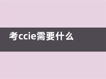 考ccie需要什么