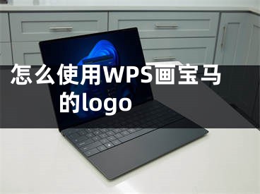 怎么使用WPS畫(huà)寶馬的logo 