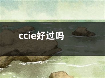 ccie好過嗎