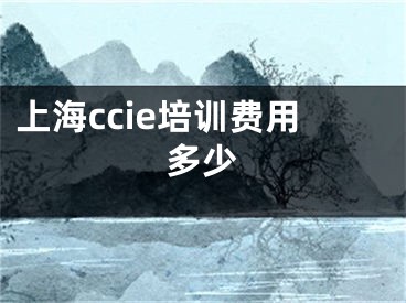 上海ccie培訓(xùn)費(fèi)用多少