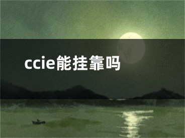 ccie能掛靠嗎