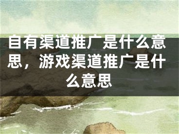 自有渠道推廣是什么意思，游戲渠道推廣是什么意思