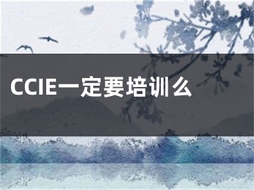 CCIE一定要培訓(xùn)么