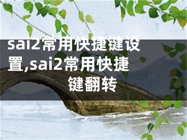 sai2常用快捷鍵設(shè)置,sai2常用快捷鍵翻轉(zhuǎn)