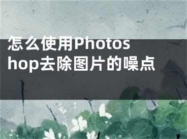 怎么使用Photoshop去除圖片的噪點 