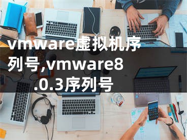 vmware虛擬機(jī)序列號,vmware8.0.3序列號