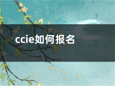 ccie如何報名