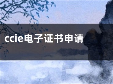 ccie電子證書申請