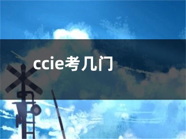 ccie考幾門