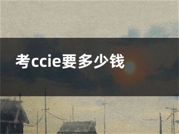 考ccie要多少錢