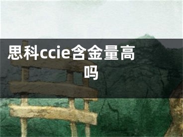 思科ccie含金量高嗎