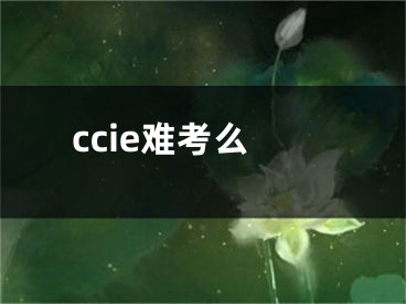 ccie難考么