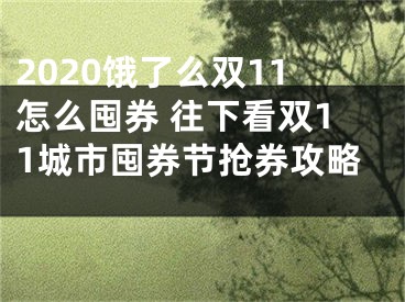 2020餓了么雙11怎么囤券 往下看雙11城市囤券節(jié)搶券攻略 