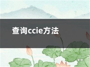 查詢ccie方法