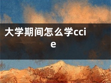 大學期間怎么學ccie