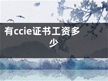 有ccie證書(shū)工資多少